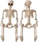 Halloween Decoration Outdoor 2 Pack Skeleton, 16" Plastic Posable Skeleton